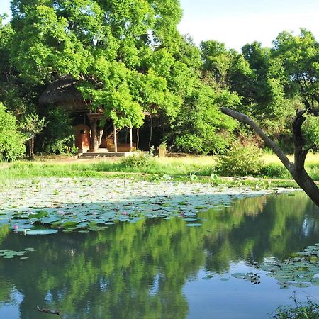 Villa Back Of Beyond - Wild Haven Sigiriya Esterno foto