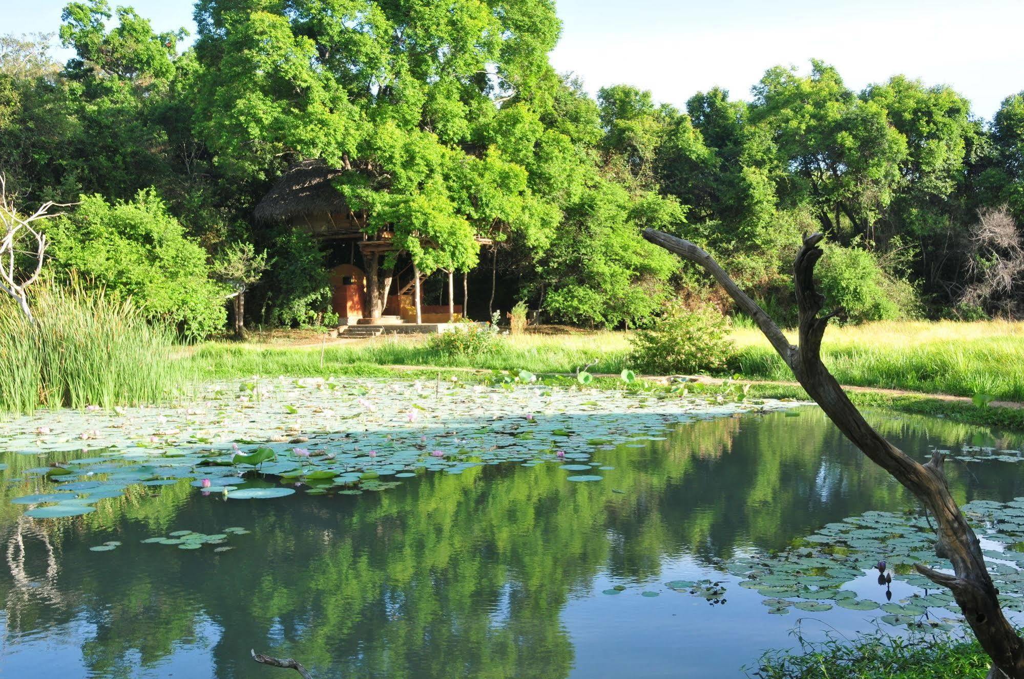 Villa Back Of Beyond - Wild Haven Sigiriya Esterno foto
