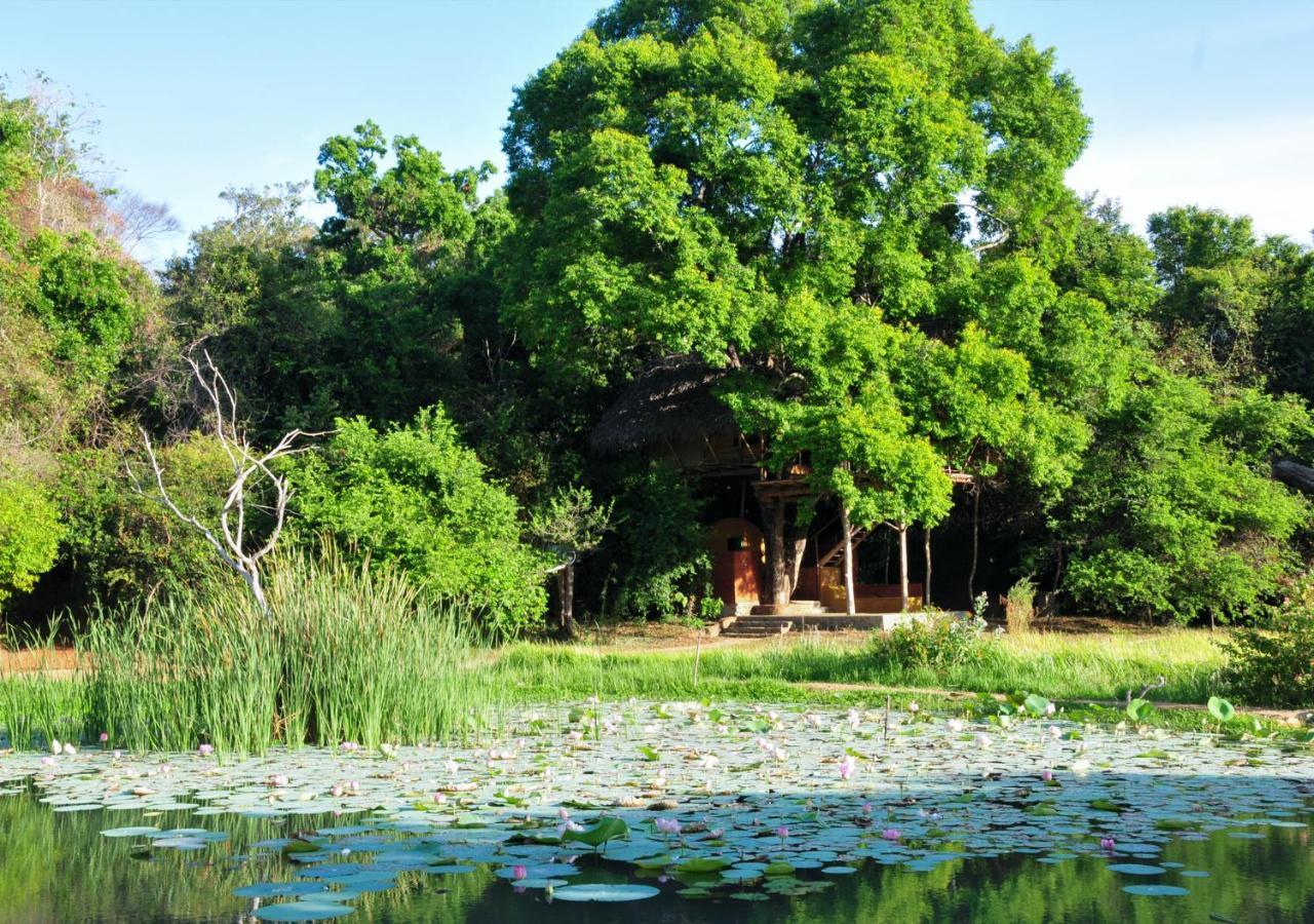 Villa Back Of Beyond - Wild Haven Sigiriya Esterno foto