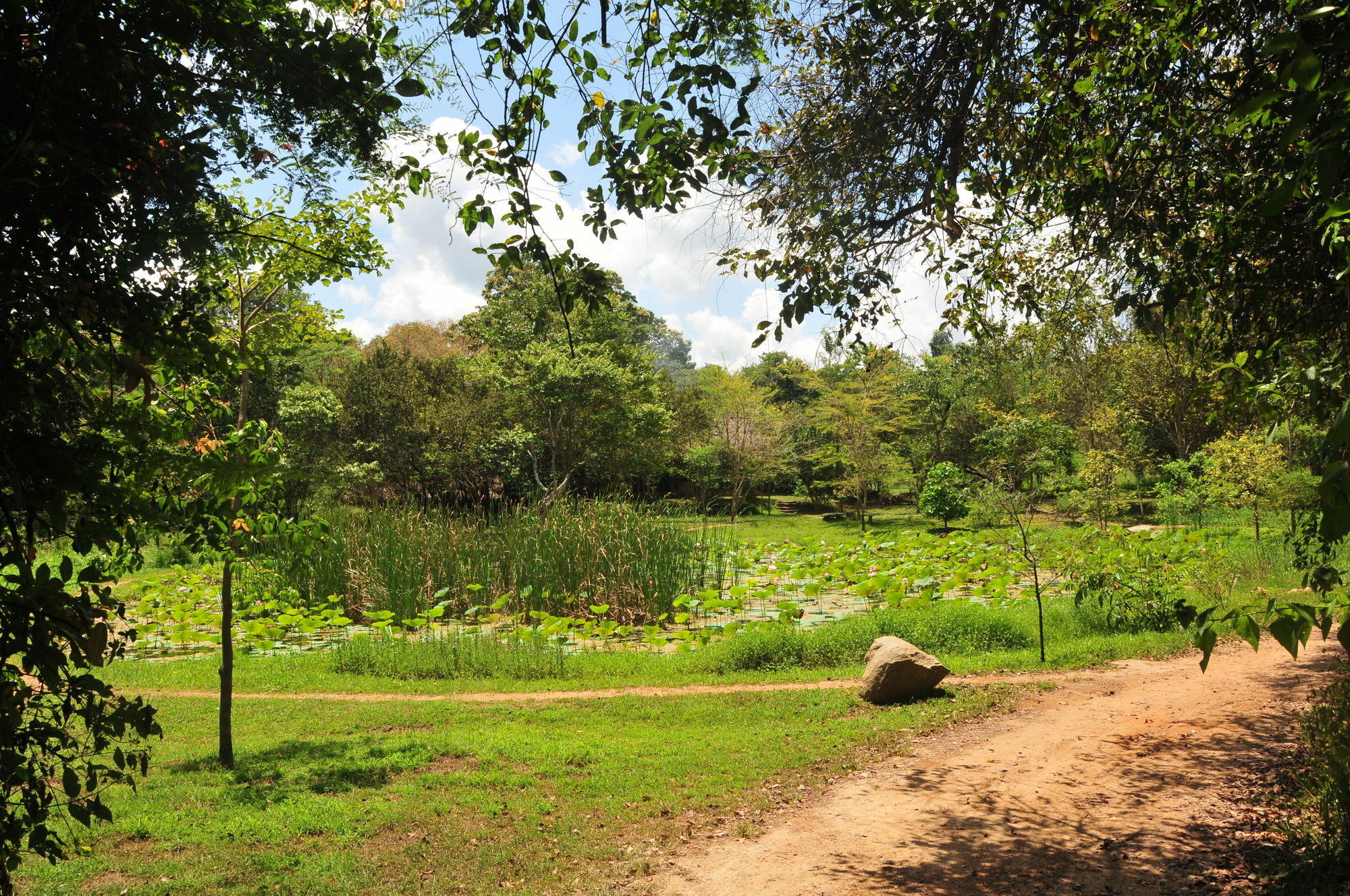Villa Back Of Beyond - Wild Haven Sigiriya Esterno foto