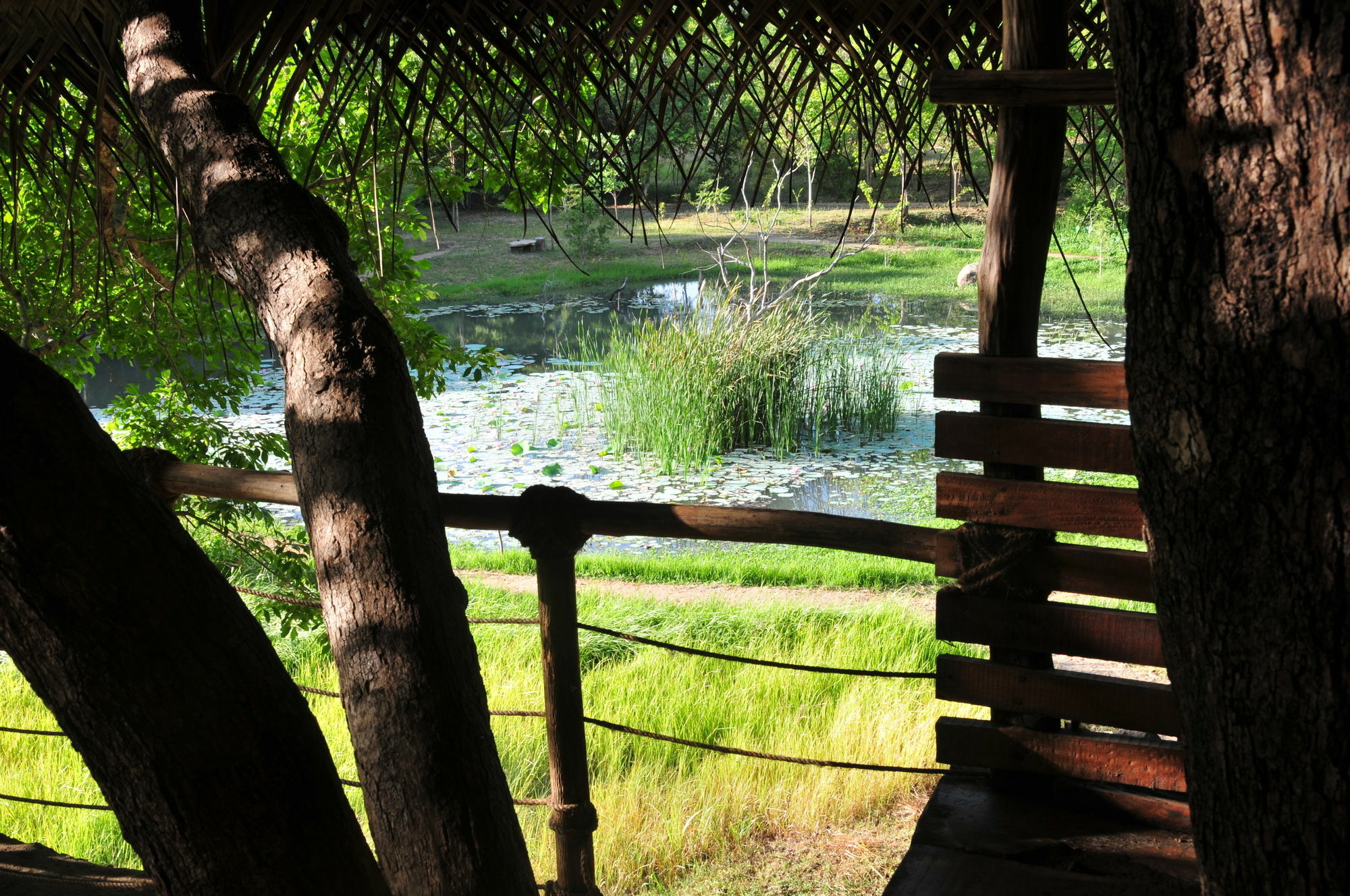 Villa Back Of Beyond - Wild Haven Sigiriya Esterno foto